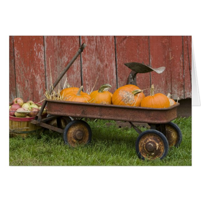Citrouilles dans un vieux chariot (Devant horizontal)