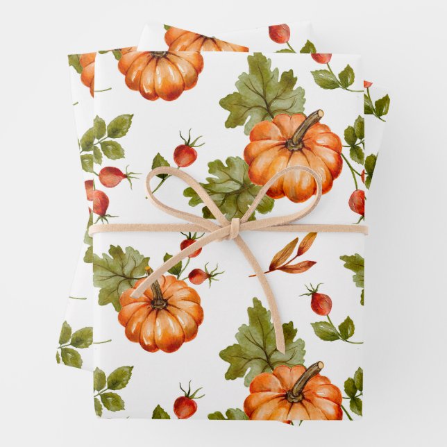 Citrouilles d'automne, baies rouges et feuilles  (En situation)