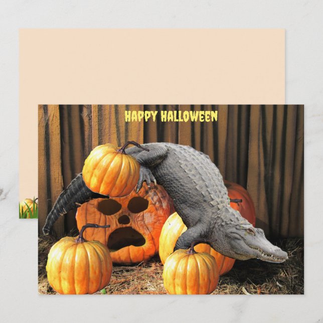 Citrouilles d'Halloween et Gator (Devant / Derrière)
