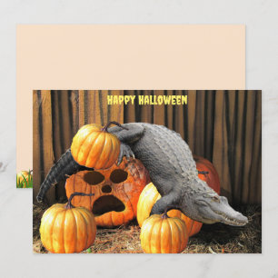 Citrouilles d'Halloween et Gator