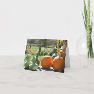 Citrouilles et courges Photographie de la nature e