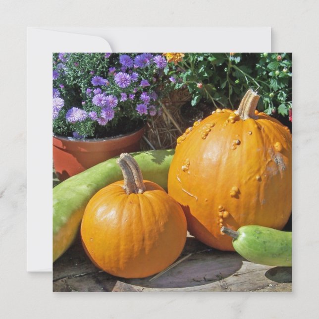 Citrouilles et fleurs d'automne (Devant)