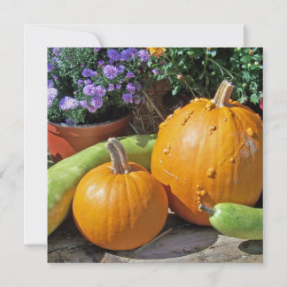 Citrouilles et fleurs d'automne