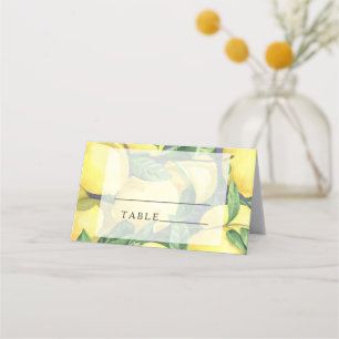 Citrus citron - Cartes de place