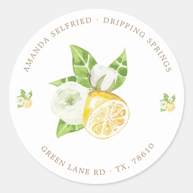 citrus citron fruit Classic Round Sticker (Devant)