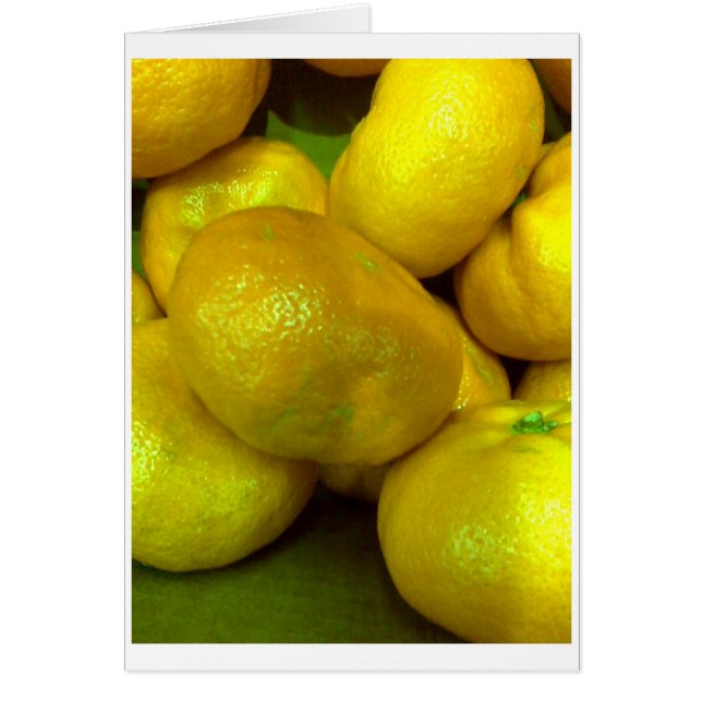 Citrus Squash (Devant)