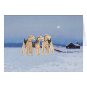 Clair de lune d'hiver