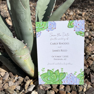 Clair et coloré Succulent Enregistrer la carte de