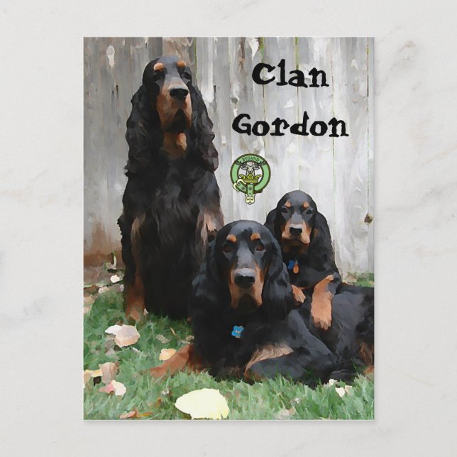 Clan Gordon, Gordon Setter Peinture Carte Postale (Devant)