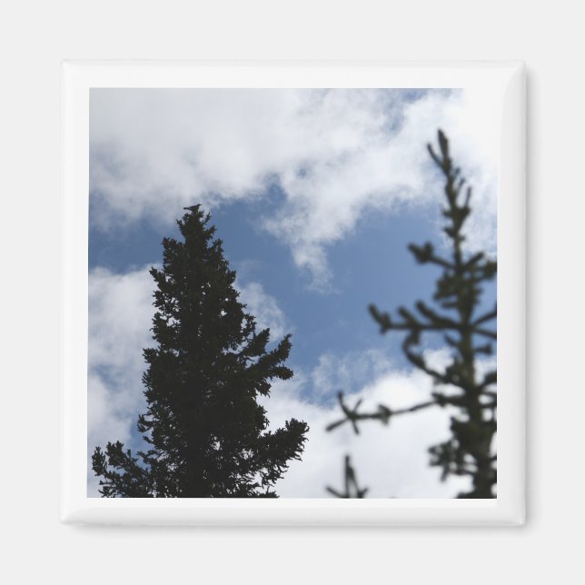 Clark's Nutcracker 2 x 2 magnet (Devant)