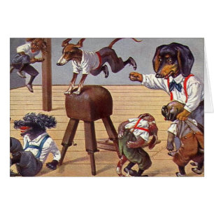 Classe de gymnase pour des chiens