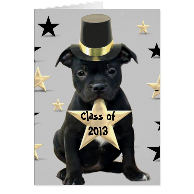 Classe de la carte 2013 de bull-terrier du (Devant)