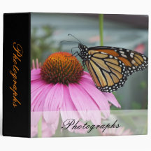 Papillon de monarque