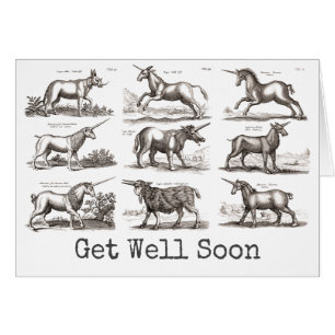 Classique Unicorne Antique Mythique Magie Créature