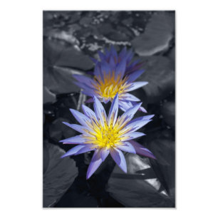 Clé couleur Nappes d'eau Photo Imprimer