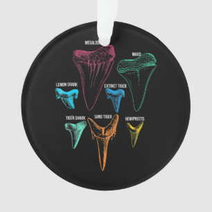 Clé d'identité de la chasse aux dents de requin