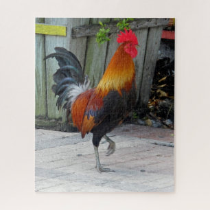 Clé Ouest Gitan Rooster Design Jigsaw Puzzle Puzzl