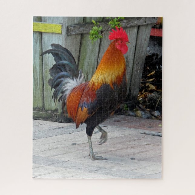 Clé Ouest Gitan Rooster Design Jigsaw Puzzle Puzzl (Vertical)