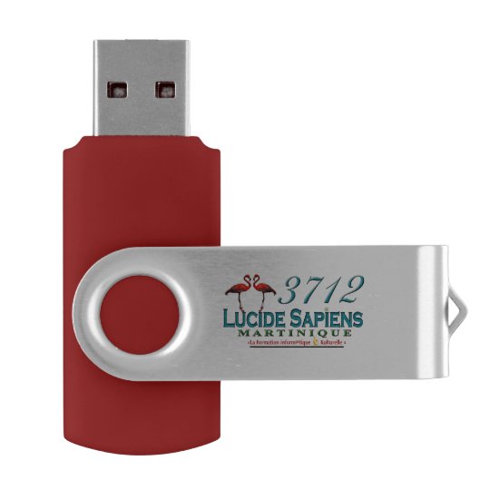 Clé USB Lucide Sapiens Martinique