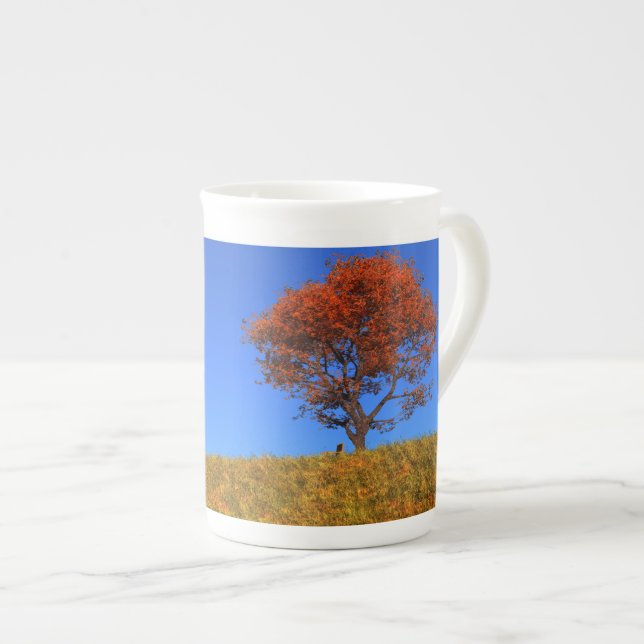 Clear Autumn Day Specialty Mug (Devant droit)