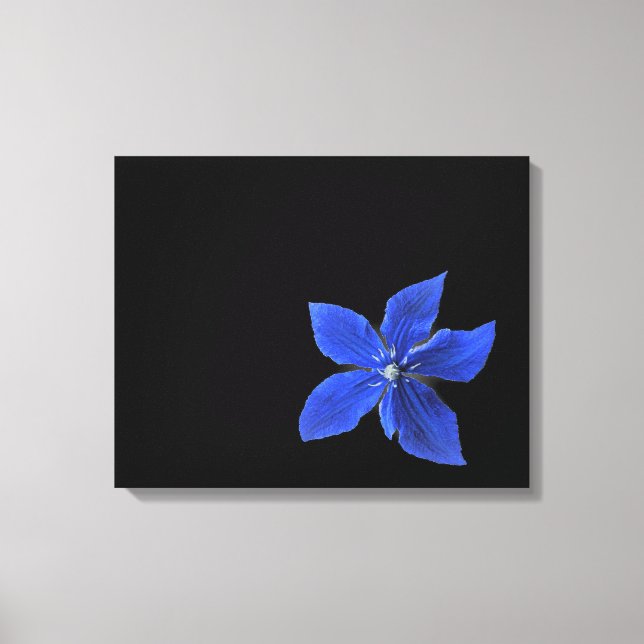 Clematis Bleu sur toile noire enveloppée (Recto)