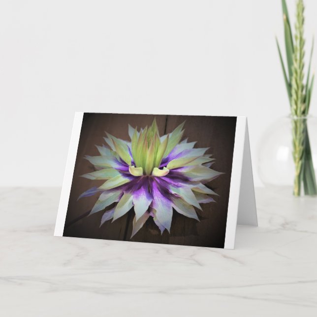 Clematis, carte (Devant)