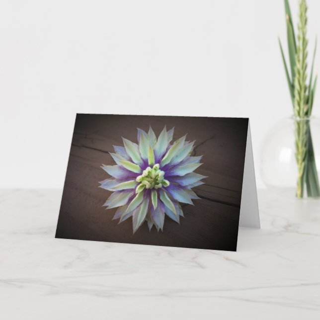Clematis, carte (Devant)