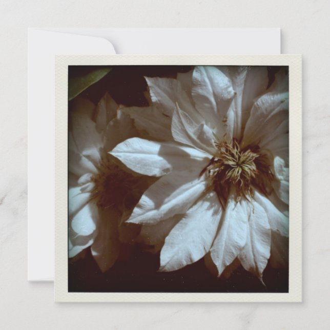 Clematis Floral Photographie 2 Faire-part funérair (Devant)