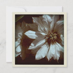 Clematis Floral Photographie 2 Faire-part funérair