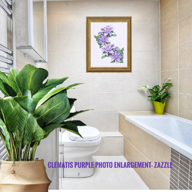 Clematis Purple Photo agrandissement (Créateur téléchargé)