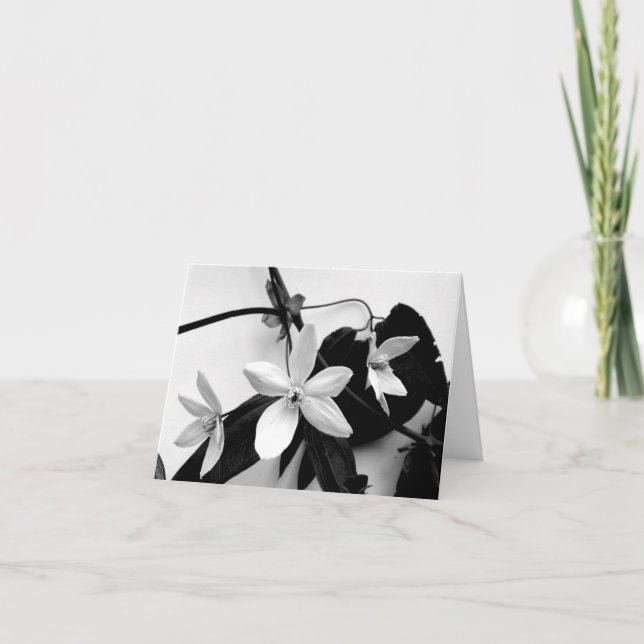 Clématite dans le carte pour notes monochrome (Devant)