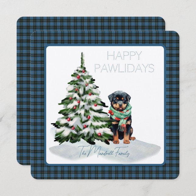Clergé Ancien Tartan Joyeux Pawlidays Chien (Devant / Derrière)