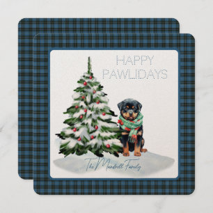 Clergé Ancien Tartan Joyeux Pawlidays Chien