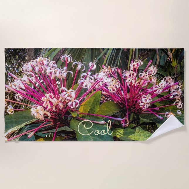 Clerodendrum Starburst Fleurs Plage Serviette (Devant)
