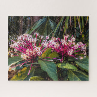 Clerodendrum Starburst Flowers Puzzle