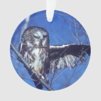 Cligner de l'oeil le hibou
