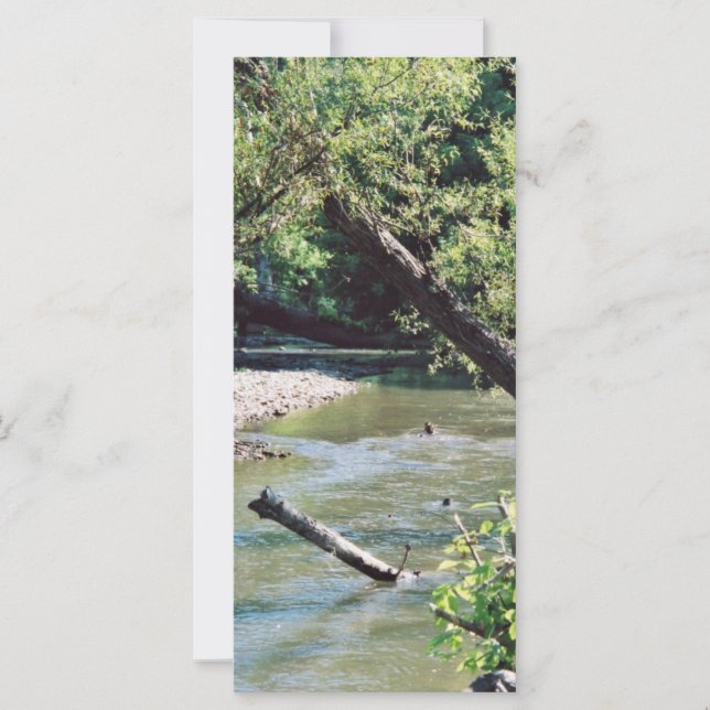 Clinch River Pittoresque (Devant)