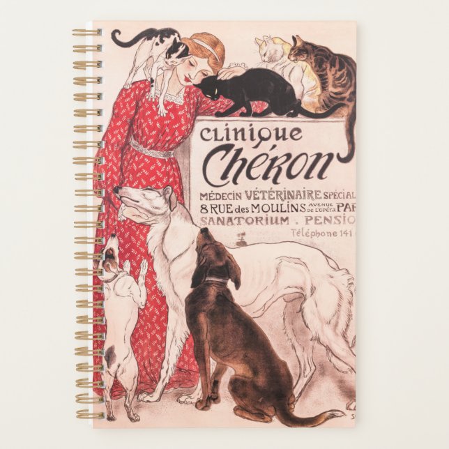 Clinique Cheron Vintage Chien Chat Steinlen Poster (Devant)