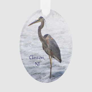 Clinton Heron
