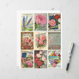 Clipart d'éphémère de graines de fleurs et de jard