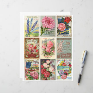 Clipart d'éphémère de graines de fleurs et de jard