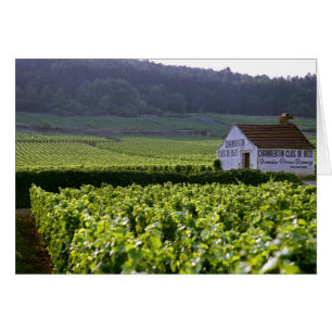 Clos de Beze Grand Cru de Chambertin