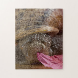 Closeuse Snail Manger Papier Bizarre Puzzle