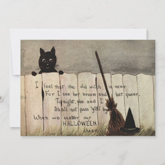 Clôture Chat Noir Balai de Sorcière Chapeau (Devant)