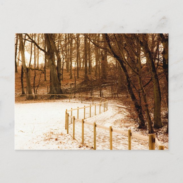 Clôture dans la carte postale forestière (Devant)
