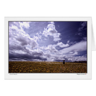 Cloud Watch - Californie du Nord