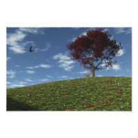 Clouds Go Sailing By Photo Print