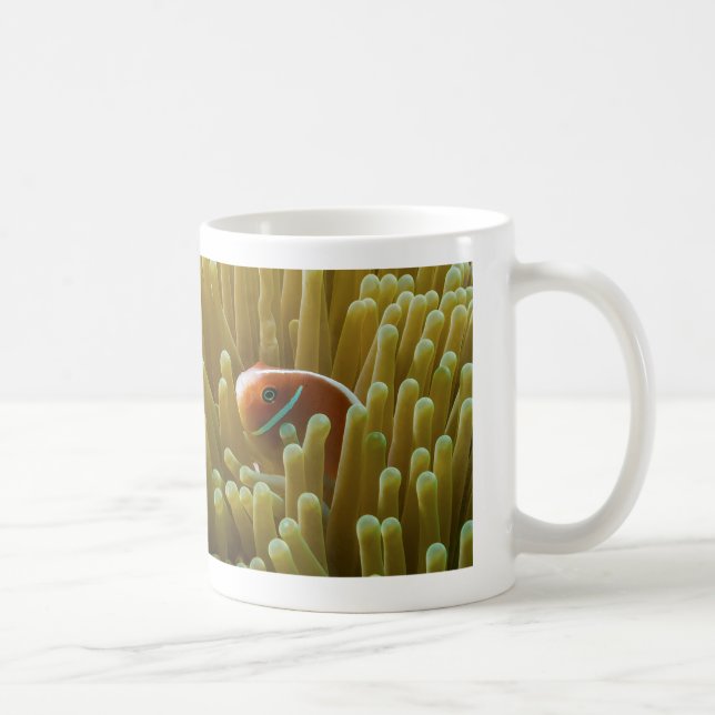 Clownfish sur la tasse de café de la Grande (Droite)