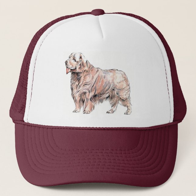 Clumber le Casquette espagnol (Devant)