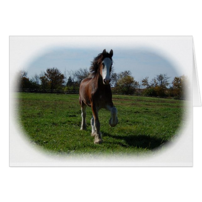 Clydesdale fonctionnant (Devant horizontal)